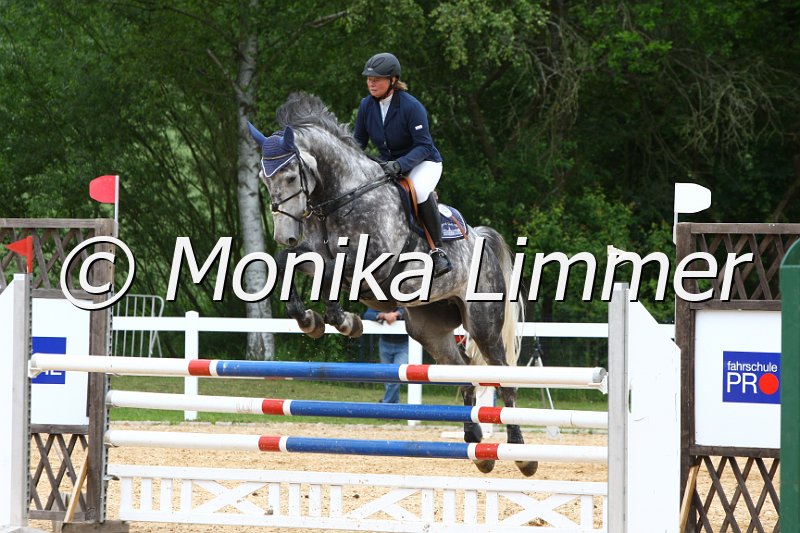 006M7417_Spring L.JPG